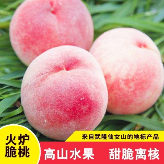 重庆市武隆火炉脆桃，地标产品，果中珍品，特点一大二红三脆四甜五离核