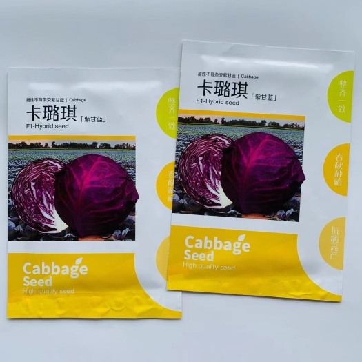 宿迁紫甘蓝种子  卡璐琪紫甘蓝种子包心菜种子