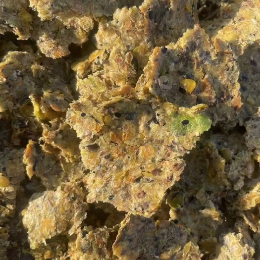 卢龙县熟榨豆饼，碎豆瘪豆炒熟直接压榨不提油