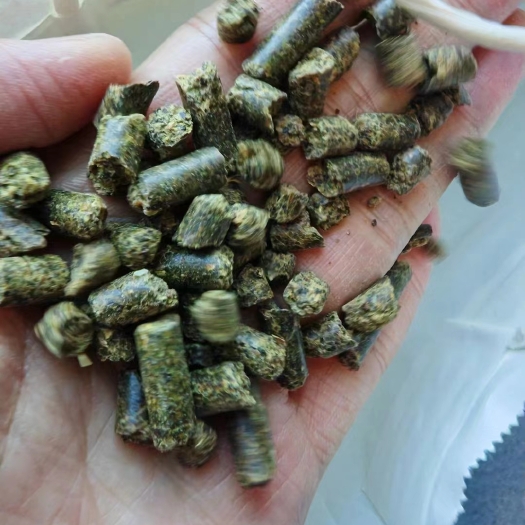天津加拿大菜粕