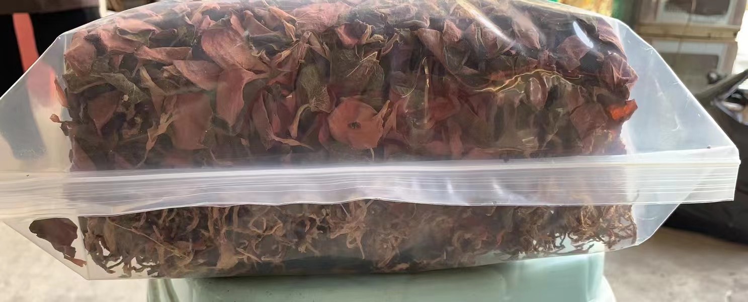 金线莲
