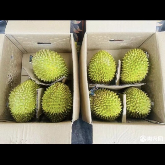 兴隆县纯