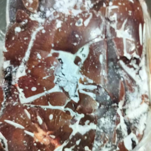 莘县猪饲料肝