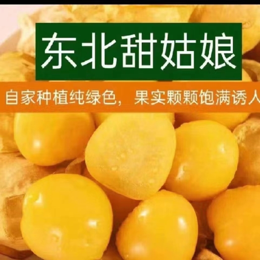 东北甜姑娘果，奶香味