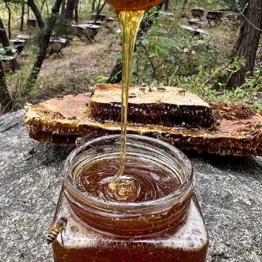 蒙阴县天然氧吧沂蒙山腹地土蜂蜜