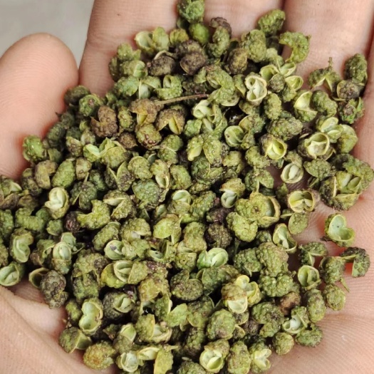 贞丰县贵州贞丰县伦发顶坛高山青麻椒
