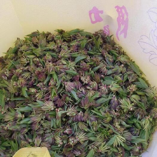 鄢陵县杜仲雄花