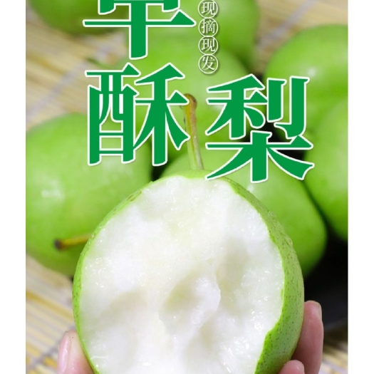 潍坊丰水梨、早酥梨