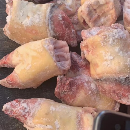 郑州牛掌，现货开袋实拍，货源稳定，可以按客户要求加工定制一手货源