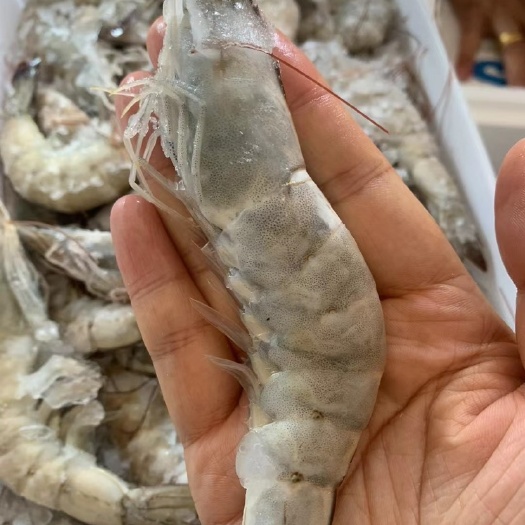 海阳市海捕大虾海水大虾盐冻虾对虾桑塔虾一件代发3040