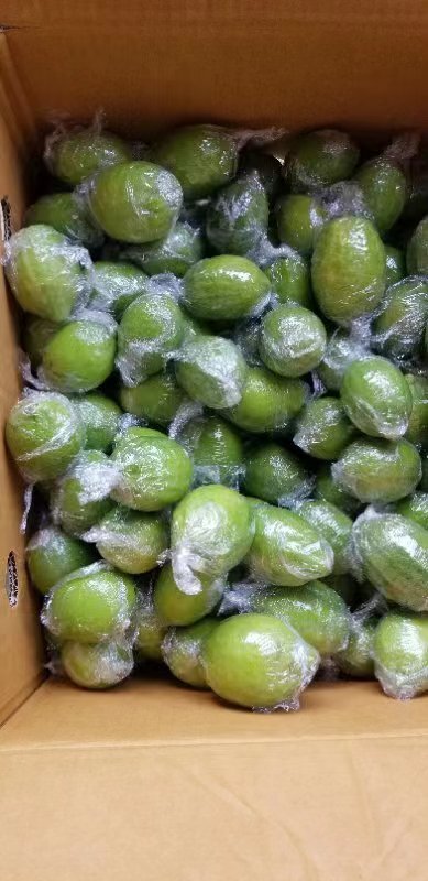 深圳广东香水柠檬  皮薄多汁  香味浓郁  手打柠檬茶