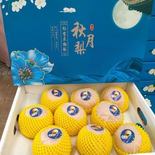 莘县精品秋月梨