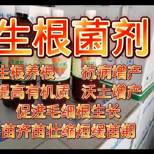 石家庄液体微生物菌剂有益活菌数50亿蔬菜水果生根