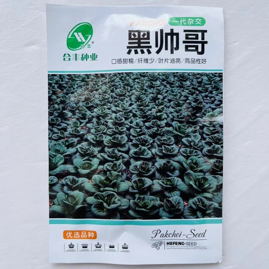 黑帅哥青梗菜种子杂交软糯青菜种籽耐寒秋冬季越冬蔬菜种子