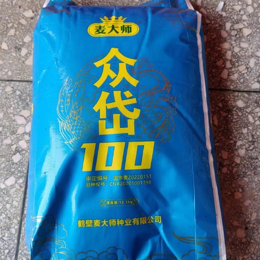叶县众岱100农业部主推品种抗倒伏能力极好熟相好抗寒抗旱高稳产