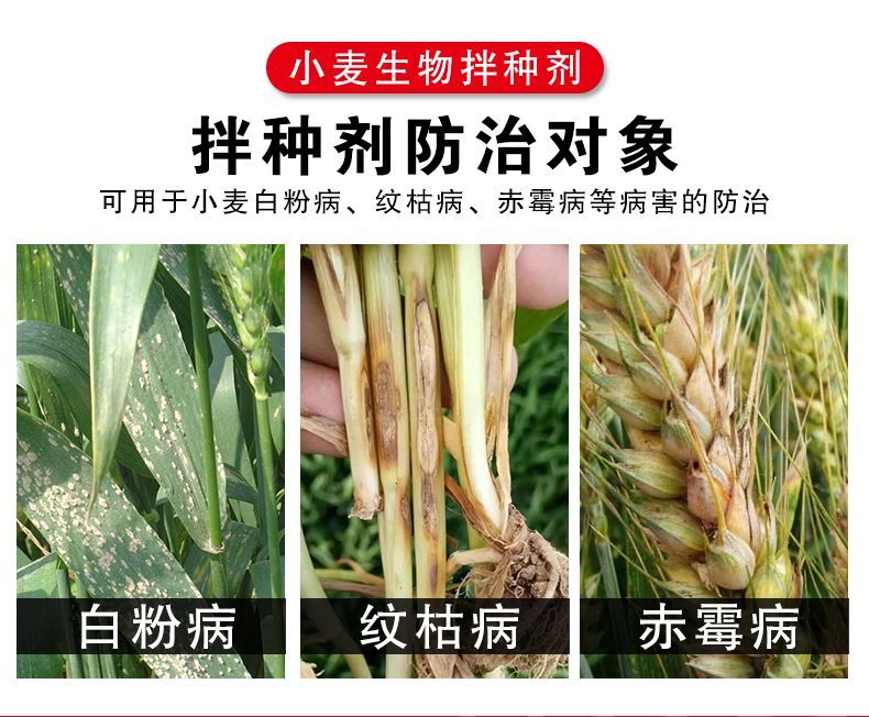 小麦拌种剂种子包衣剂苯醚咯噻虫蚜虫防虫防病增产杀虫剂农药批发