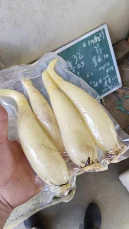 洪湖市湖北洪湖水果藕，脆嫩爽口，清甜化渣！