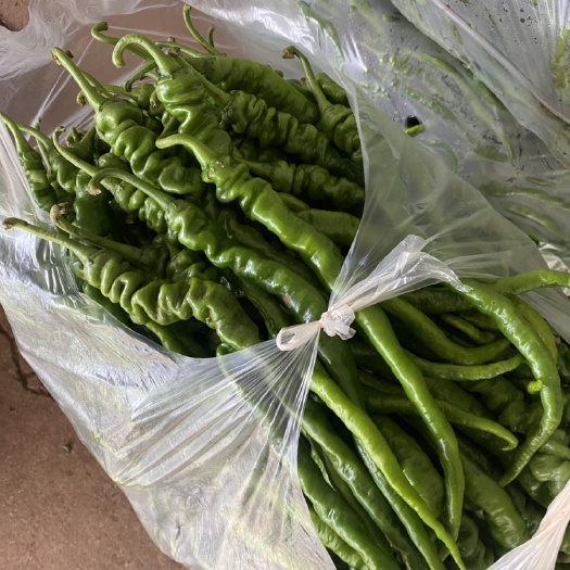 鹤庆县螺丝辣椒