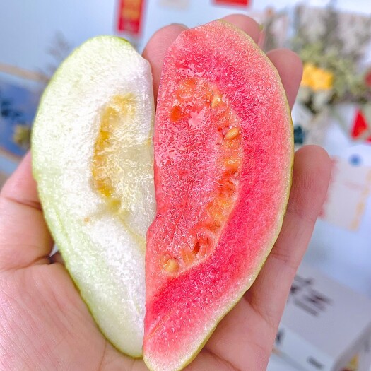 平和县【低糖水果】树上熟奶油芭乐+红颜芭乐双