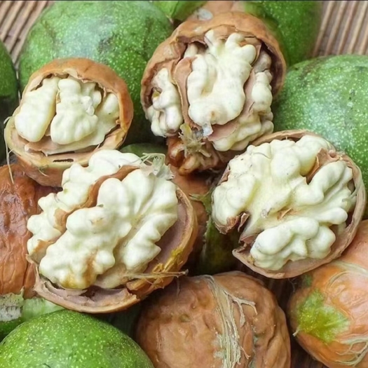 乌什县新疆特产新疆阿克苏地区乌什县的薄皮青皮核桃185