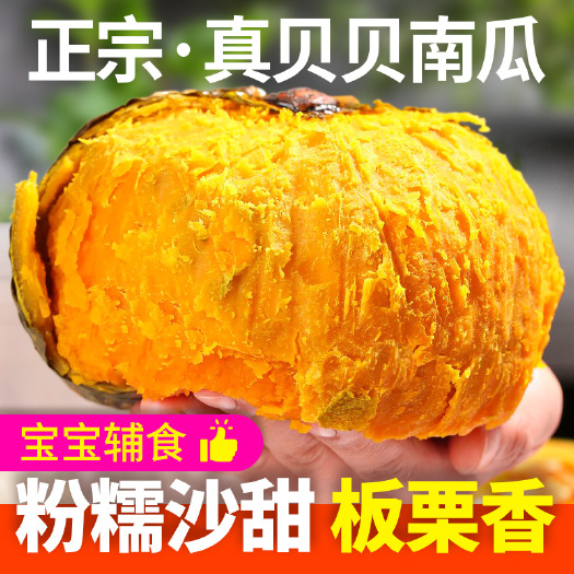潍坊贝贝小南瓜粉面甜日本引进品种精选新鲜现货当天发货一件代发
