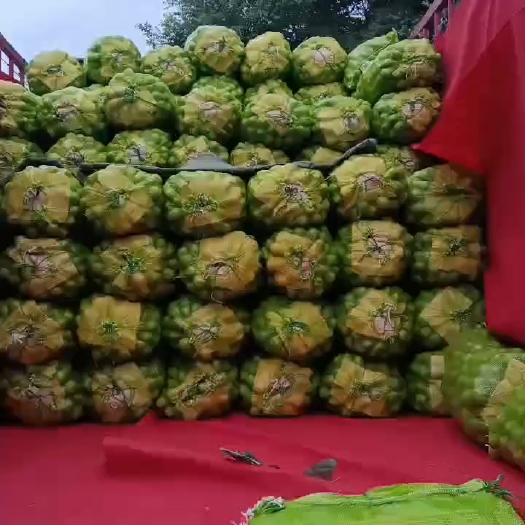 霍州市清香核桃青皮