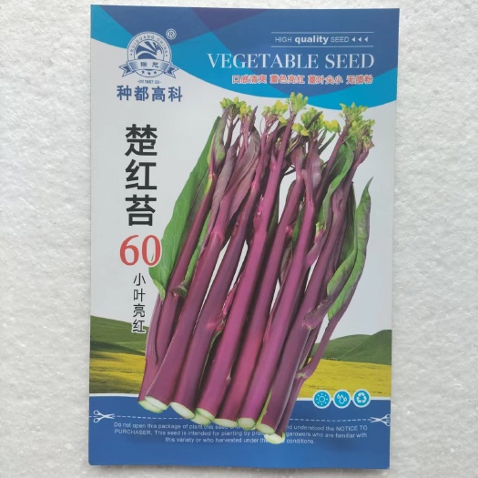 红菜苔种子楚红苔60 70红菜苔种子口感清爽叶小红亮菜心种子