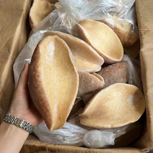 福州深海黄金鲍 全规格