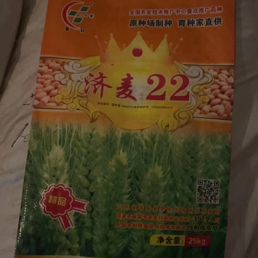 小麦种子，品种齐全厂价直销