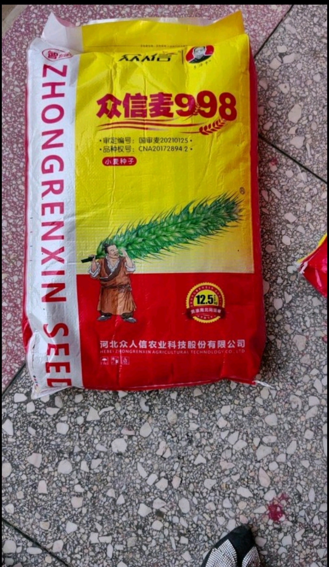 郑州小麦种众信麦998，优良品种，抗倒伏抗病害，抗寒抗旱