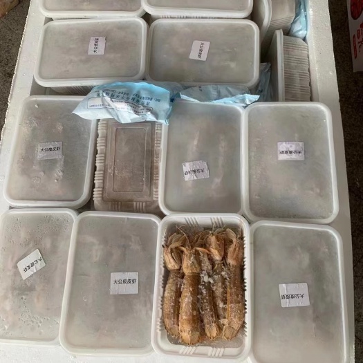 连云港熟冻大母皮皮虾、带黄带膏