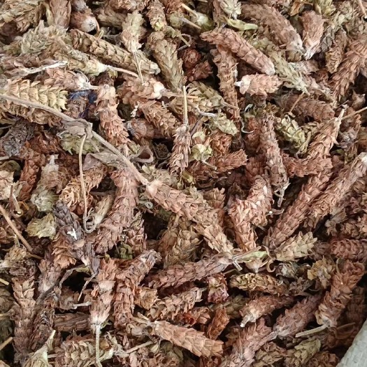 玉林夏枯球