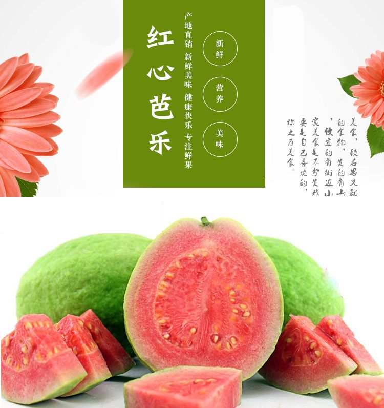 【减，肥，瘦，身！低糖水果】红心芭乐/白心芭乐/芭乐双拼