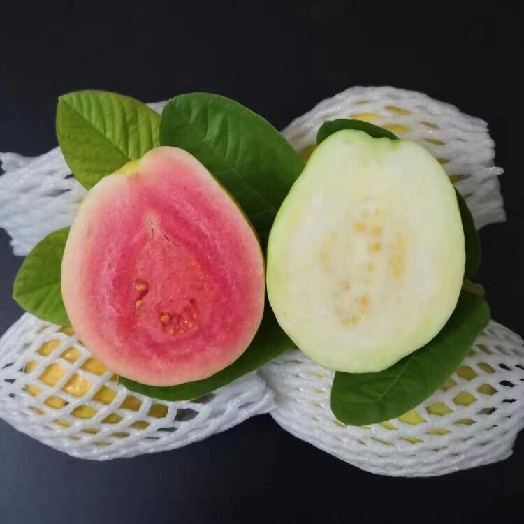【减，肥，瘦，身！低糖水果】红心芭乐/白心芭乐/芭乐双拼