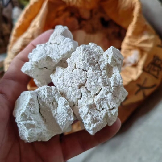 勐腊县茯苓