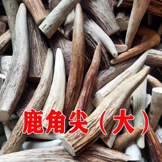 吉林双阳梅花鹿鹿乡 干鹿角原料整只[打粉]工艺品手串原材料