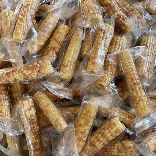 景洪市云南花糯小玉米一件代发批发