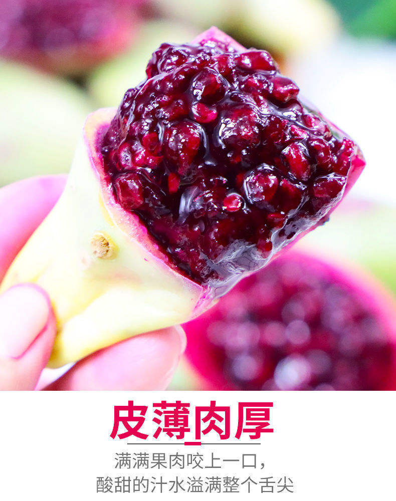 【高品质】海南仙人掌果现摘现发海南新鲜水果仙人果可食用