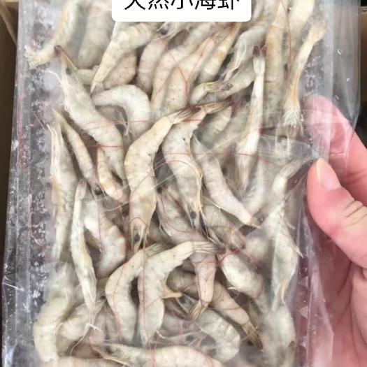 北海精选小海虾、天然小青虾、活冻原条河虾、近海货长期有货有量