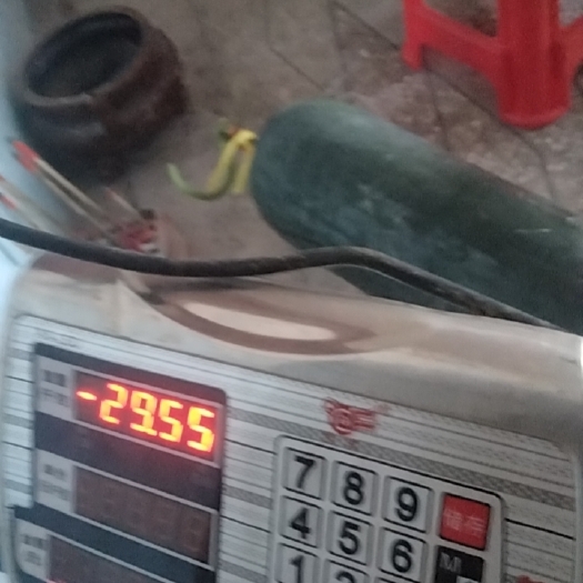 宁远县优质产品，黑皮冬瓜，个大30一40斤