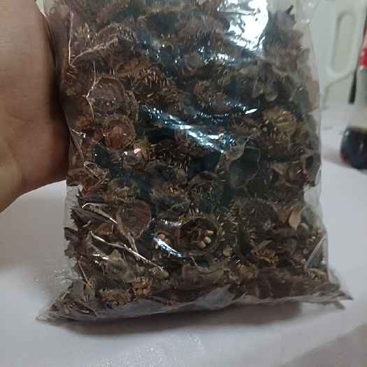 成都干刺梨