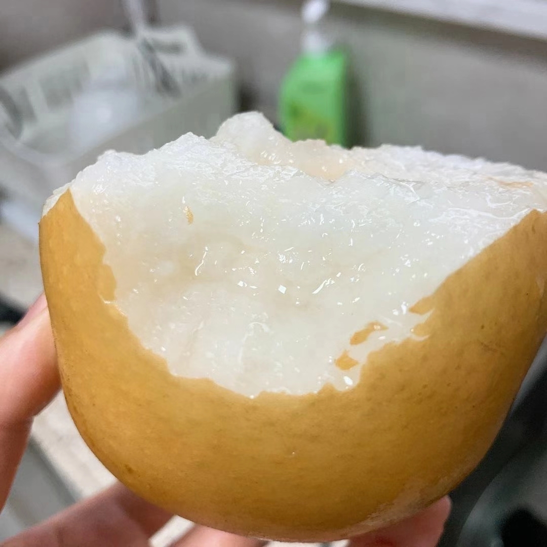 秋月梨，风水梨，大量上市