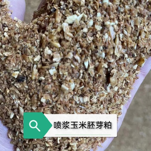 石家庄喷浆玉米胚芽粕