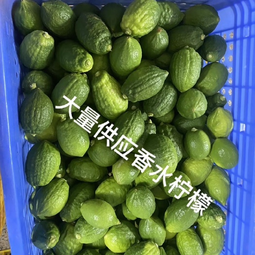 屏边县广东无籽香水柠檬