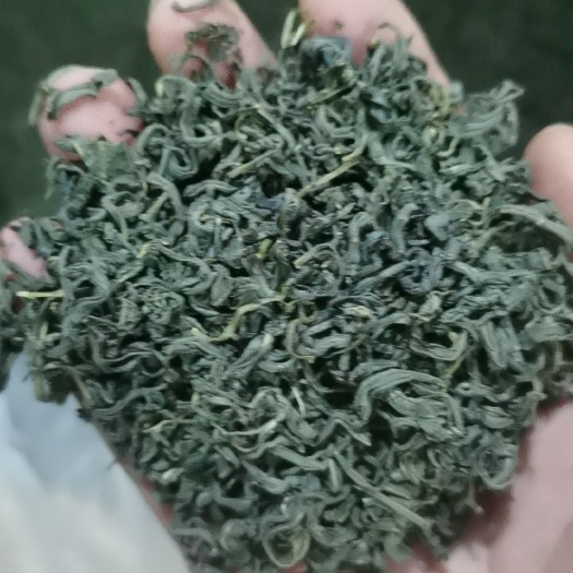 武义县【绿茶2023新茶叶】高山云雾绿茶叶浓香型特香耐泡茶叶散装批