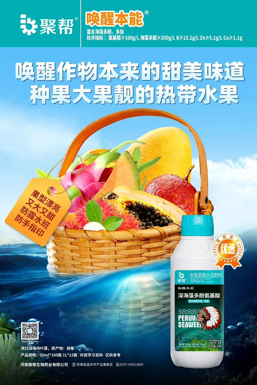 聚帮含氨基酸水溶肥料柑橘促花促果增蕾保花坐果壮果农资叶面肥
