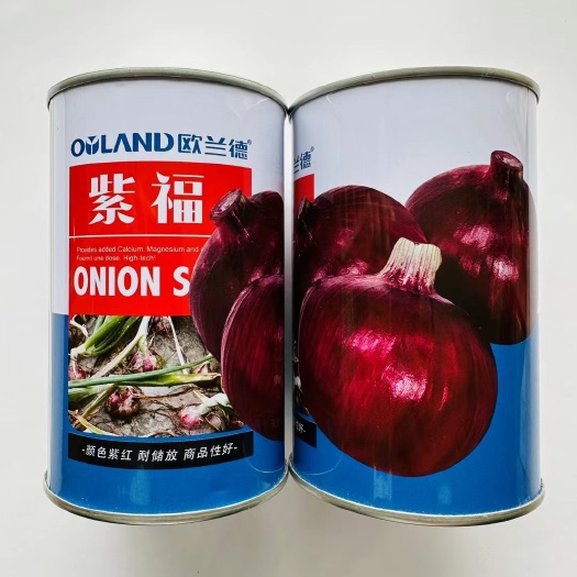 紫皮洋葱种子 紫福罐装紫皮洋葱种子增产耐抽苔