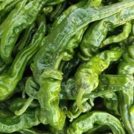涿鹿县蔬菜类，皱皮椒，美人椒，芜湖椒