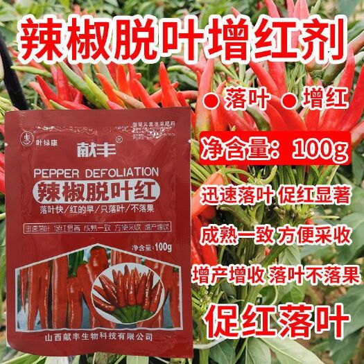 辣椒脱叶剂脱叶不落果叶面肥大红辣椒脱叶红