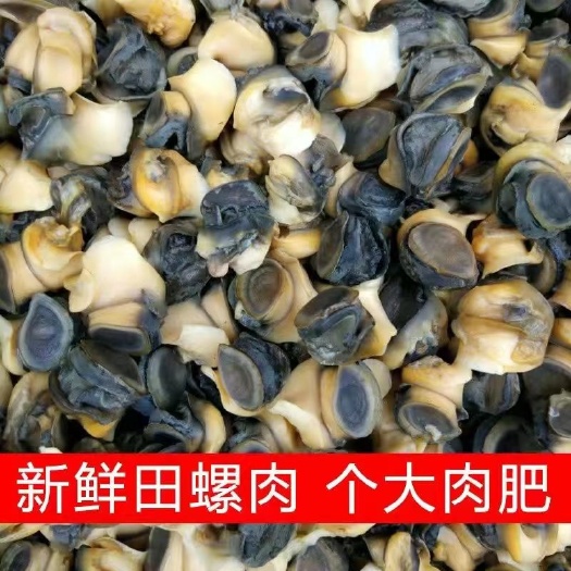 阜南县新鲜大田螺肉干净精选螺狮肉螺丝肉田螺肉